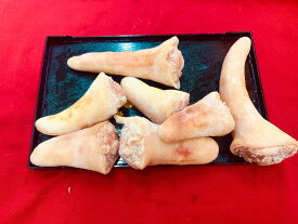 豚テール　豚尾　豚肉　10kg (送料別)