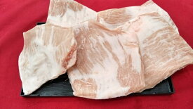 豚肉　豚とろ　トントロ　ブロック　メキシコ産　冷凍品　1kg (送料別)