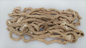 ؏̂΂@ؓ@{C@(JbgȂ) Ⓚ@10kg ()