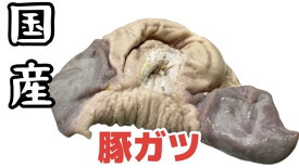 国産豚ガツ　1kg 焼肉/肉/焼き肉/ホルモン/ガツ/バーベキュー/BBQ(送料別)