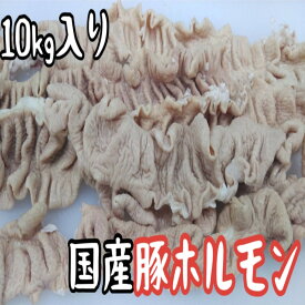 国産　豚肉　大腸　ホルモン　ボイル　のばし（カットなし)　冷凍　10kg (送料別)
