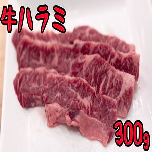 In~@300g I[W[Er[t W[V[@ňl풆@ē@O@Ԑg@o[xL[@O@@ԁ@Lv@1lē@@()