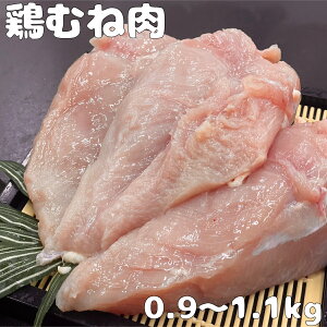 Y{ނˁ@{@0.9`1.1kg K@BBQ ԁ@с@@Z[@O@Lv@()