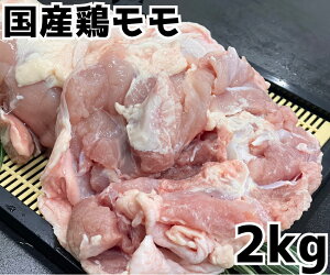 ySALEzY{@2kg@Y@{@Ƃ胂@{@o[xL[@Lv@ē@()