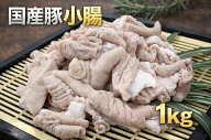 豚小腸切モツ　ホルモン　豚肉　冷凍　1kg (送料別)