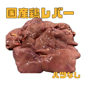 国産鶏レバー　ハツなし　冷凍品1kg（送料別）