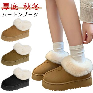 [gu[c V[g [g Xb|  Xm[u[c ₷ g h h Ȃ y  t@[ {A H~ r 傫TCY 