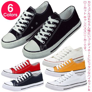  LoX fB[X Xj[J[ [Jbg LoXV[Y Xj[J[ n y   d Vv 킢 ₷ Xj[J[ fB[X