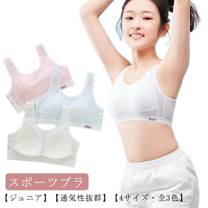 WjAu mC[ n[tgbv uW[ X|[cu X|u w Z  Ci[ K[Y ʋCQ w WjA  LbY Jbvt ̎q Rbg 