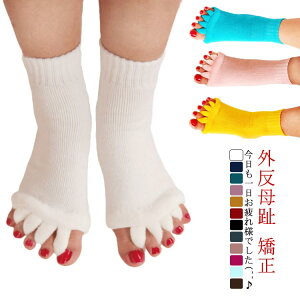  X[sO\bNX 5{w\bNX \bNX ₦C L w\bNX [\bNX Y fB[X jp ܖ{w\bNX wSJ  n  K  