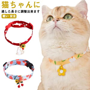 Lp lbNX ˂ CAT t ߉ ԕ `[J[  p Lp ANZT[   t@bV q ^ ^ L Ckp ANZT[  ߂