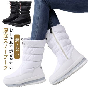 ~p Xm[u[c fB[X Xm[V[Y ~h C Ȃ  {Au[c hC  EC^[u[c AEghA u[c {A 傫TCY 36cm 29cm 