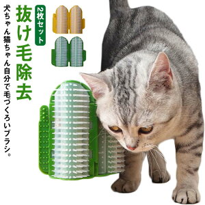 2Zbg L uV  ybguV \邾 L炵 я Z  p ю uV  ыʎuV LuV ubVO  ъ΍ }bT[W ^ 