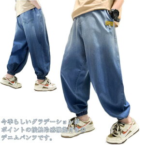 W[Y {gX fjpc ڐG⊴ Y{ Ђ W[p Of[V Opc q JWA EGXgS qǂp WjA i  LbY 160 j̎q 