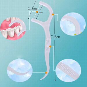 300{ 300{ 悤 e tX sbN v`ԃuV L^ ԃtX