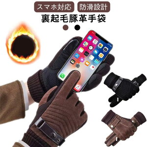 ~ X}z  Y U[ X}zΉ ؂̔ jp N {A O[u h Ԃ ~ 5{w v  ~p  h g ʋ AEghA ] 