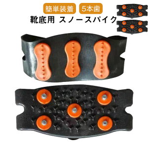 Cp Xm[XpCN ~ XpCN ᓹ ΍ 5{ l q ȒP ׂ~ V[YXpCN ACXXpCN C Xj[J[ pvX  ʊw ʋ 20-25.5cm 