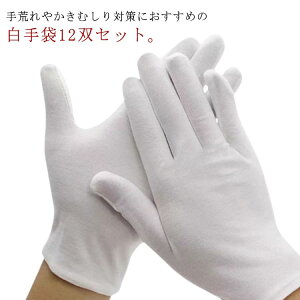 Ɨp h  12oZbg fB[X Y XX  12g Ǝ V  jp t[TCY  zCg _炩 ʋC