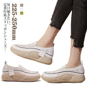 Xj[J[ bV fB[X Xb| O Xj[J[ V[Y  V[Y ʋC ₷ }^jeBC t  H 傫TCY