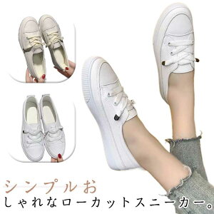 JWAV[Y [JbgXj[J[ fB[X Xj[J[ V[Y C  [XAbv ₷ tbg\[ w ʊw y 22.5cm 23.0cm 23.5cm 24.0cm 24.5cm 25.0cm