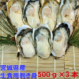 【5％OFFクーポン有 母の日対応可能】生食用 「剥き身 牡蠣 500g×3本」 カキ 牡蛎 むき身【条件付き】漁師直送品 松島牡蠣屋 カキ 牡蠣 カキフライ 牡蠣鍋 牡蠣のアヒージョ 牡蠣のオイル漬け【一部条件付きです要確認】【60】