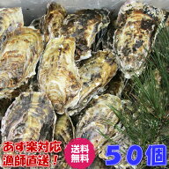 「一個牡蠣 50個」 殻付き 牡蠣 殻付き 牡蛎 牡蠣 殻付 生牡蠣 宮城県産 無選別牡蠣 カキ 加熱用 松島牡…