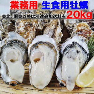 y10OFFN[|Lzy kt y uHp kt y 20kgvy }Ⓚiŏoגz20L y kt a L L kaki oyster ICX^[ y kt {錧Y JL y 