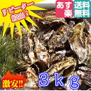 あす楽対応!牡蠣 3kg(約35粒)送料無料!宮城県産 殻付き 牡蠣 殻付き 無選別牡蠣 牡蠣 殻付 カキ 加熱用 一年子 松島牡蠣屋