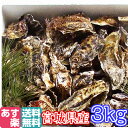 あす楽対応!牡蠣 3kg(約38粒)クール便送料無料!宮城県産 殻付き 牡蠣 殻付き 無選別牡蠣 牡蠣 殻付 カキ 加熱用 一年子 松島牡蠣屋 BBQ お花見