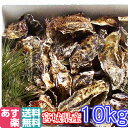 あす楽対応!牡蠣 10kg(約120粒)クール便送料無料! 宮城県産 殻付き 牡蠣 殻付き 無選別牡蠣 牡蠣 殻付 カキ 加熱用 一年子 松島牡蠣屋 BBQ お...