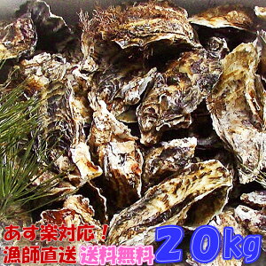 y10OFFN[|Lzy kt y Mp 20kg iڈ:180jy }Ⓚiŏoגz a y kt {錧Y Iʉy 20L JL y BBQ o[xL[ uMp y 