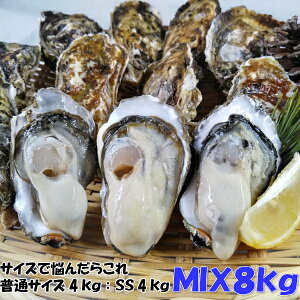uy MIX8kgvi125jyyI4kg+SSTCY4kgzyoׂ8/31܂ 9/1͓ioׁz8L kt y kt a y kt Mp y o[xL[H