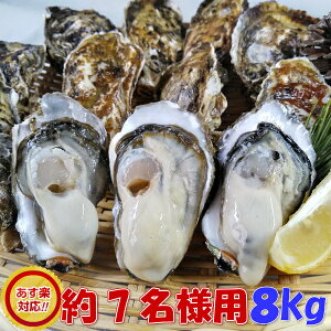 y kt ⓀyuMp@y 8kgvi72jy{ }ⓀiŏoגAyI\zI{錧Y kt a y kt kt JL y a BBQ o[xL