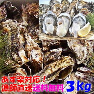 【10%OFFクーポン有】牡蠣 殻付き 生牡蠣 加熱用 3kg【目安27個】 殻付き 牡蛎 殻付 宮城県産 3キロ 無選…
