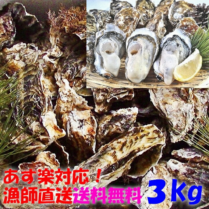 楽天市場 ２０ クーポン有 お歳暮 年末用も可 牡蠣 ３ｋｇ 殻付き 牡蠣 殻付き 牡蛎 牡蠣 殻付 お歳暮 御歳暮熨斗対応可能 宮城県産 ３キロ 無選別牡蠣 カキ 加熱用 松島牡蠣屋 海産物 魚介類 魚介 海鮮 父の日 送料無料 ｂｂｑ バーベキュー 牡蠣 加熱用