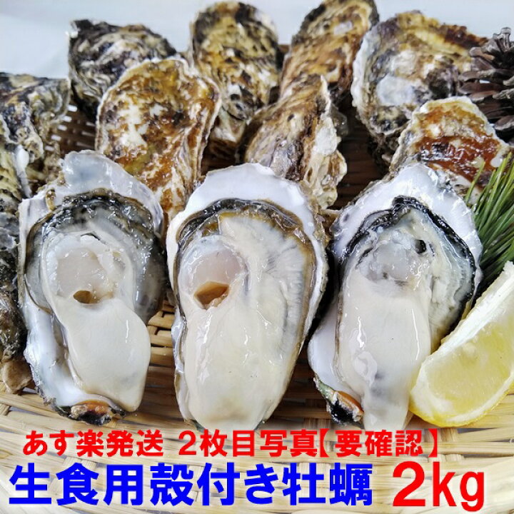 内祝い カワハギ釣りなどに 釣りエサ 食用ではありません クロダイ ムール貝 ムラサキイガイ５kg 黒鯛 カラス