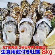 牡蠣 殻付き 生牡蠣 「生食用 殻付き 牡蠣 8kg」 （56~140粒）8キロ 牡蠣 殻付き 牡蛎 殻付 宮城県産 カ…