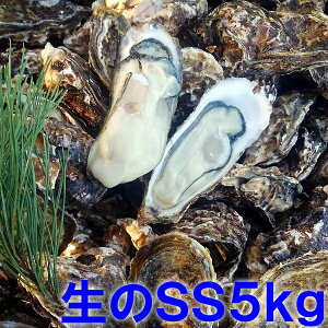 SSTCY5kg y kt y 5LyݗⓀoגz {錧Y kty kt kt JL Mp y Iʉy a BBQuy SS5kgvy100z