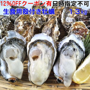 yws 12OFFN[|Lzy kt y Hp kt y 1kg`13kg kt a kt {錧Y L L kaki oyster 1222܂ł̂݊J  CN y L L kaki oyster 