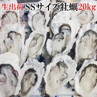生出荷 生牡蠣 殻付き 生食用「牡蠣 SS20kg」（約400粒）宮城県産 殻付き 牡蠣 殻付き 無選別牡蠣 牡蠣 …