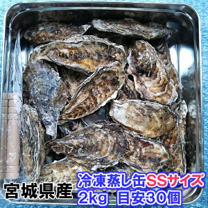 y {錧Y kt y kt uⓀSSTCY2kgv y30z y kt JJ  Mp kaki  y A 󂠂@AzsBy80z