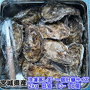 「冷凍一個蒸し缶2kg」 【約13-18粒】蒸しカンカン 殻付き 牡蠣 殻付き 牡蛎 牡蠣 殻付 宮城県産 無選別牡蠣 カキ 加熱用 松島牡蠣屋 送料無料 BBQ ギフト 食べ物 お中元 バーベキュー食材 海産物【80】