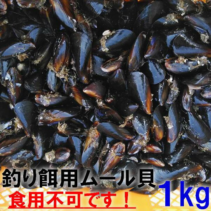 楽天市場 あす楽対応 釣り餌に ムール貝 ムラサキイガイ１ｋｇ 冷凍品 １キロ イガイ カラス貝 ムール貝 釣りエサ クロダイ 黒鯛 チヌ 石鯛 コブダイ カワハギ釣りに 食用ではありません 60 松島牡蠣屋