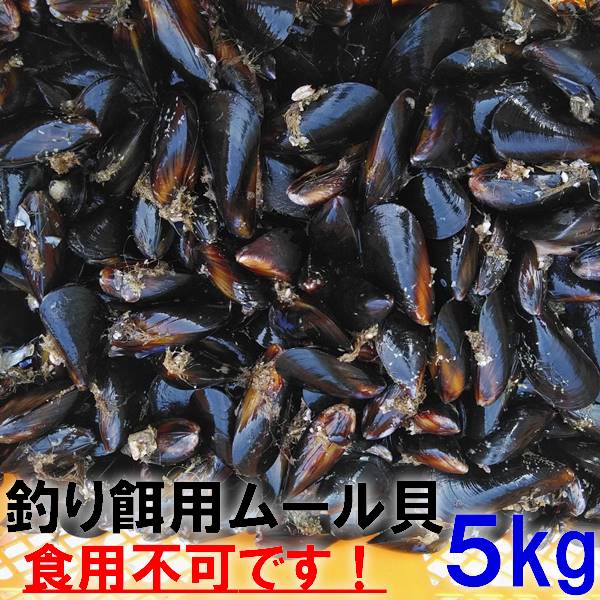 釣り餌に ムール貝　「ムラサキイガイ５ｋｇ」小分け袋入り冷凍品 ５キロ イガイ カラス貝 ムール貝 釣りエサ クロダイ 黒鯛 チヌ 石鯛 コブダイ カワハギ釣りに 