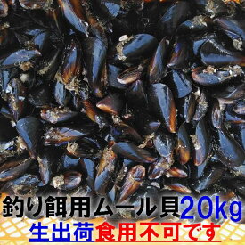 【10％OFFクーポン】ムール貝釣り餌に ムール貝「生出荷 ムラサキイガイ20kg」 イガイ カラス貝 ムール貝 釣りエサ クロダイ 20キロ 黒鯛 チヌ 石鯛 コブダイ カワハギ釣りに エサ 餌【食用ではありません】