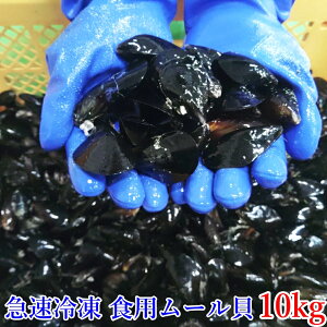 y10OFFN[|ő100%PobNz[L }Ⓚo Hp[L 1`10kgi1k45jX[vx[X TLCKC ił󂠂ivmFj咆R~R~TCY o`