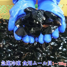 【10％OFFクーポン】ムール貝 急速冷凍出荷 食用ムール貝 1〜10kg（1k当たり約45個）スープベース ムラサキイガイ 格安ですが訳あり（要説明確認）大中小コミコミサイズ 出汁に、パスタに 加熱調理用【袋数説明に記載】