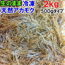 【15％クーポン有】アカモク 2kg～14kg（500g入りタイプ）【生のまま冷凍小分け品】の完全無添加 ！あかもく ぎばさ ねばねば ネバネバ ギバサ「冷凍アカモク　　kg（1kgタイプ）」【120】