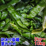 2026年製品 茎わかめ 塩蔵ワカメ 完全訳あり品 塩蔵わかめ 2kg〜20kg入 小エビや小さい海藻の除去などが…