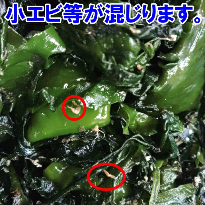 楽天市場】塩蔵ワカメ 完全訳あり品 塩蔵わかめ5kg入 茎少しあり 小 